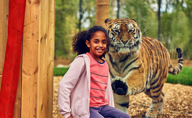 Chessington World of Adventures