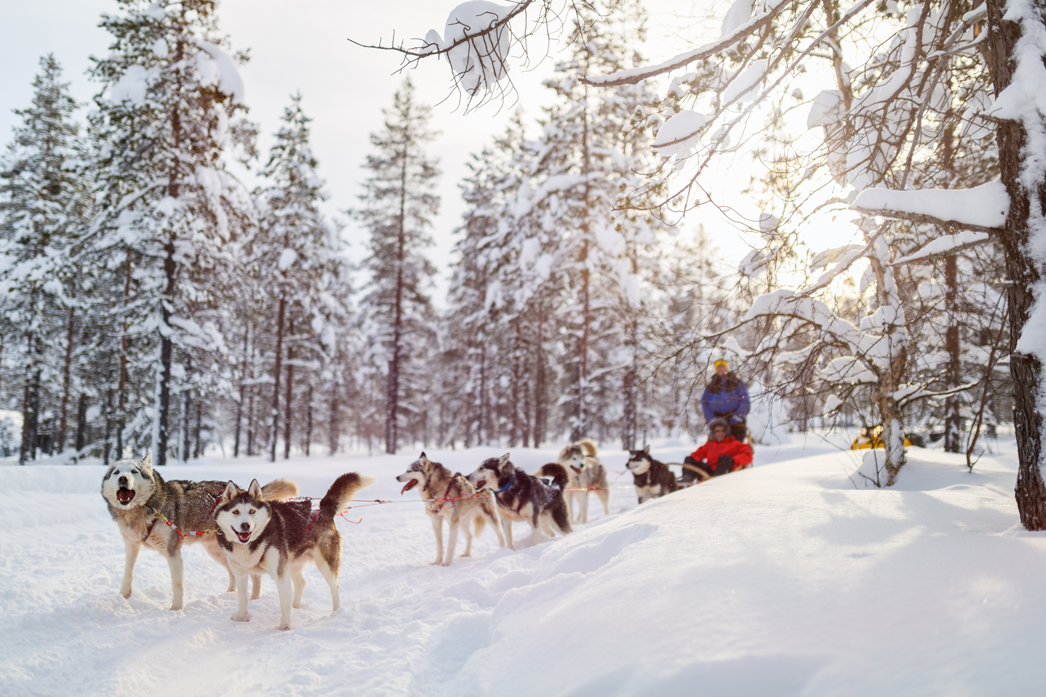 Magical holiday to Santa’s Lapland